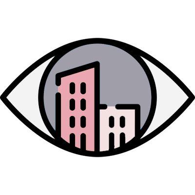 vision
